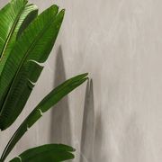 Altro Whiterock™ Wall Designs Decorative Hygienic Walling gallery detail image