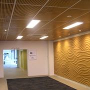 Suspended Ceilings gallery detail image