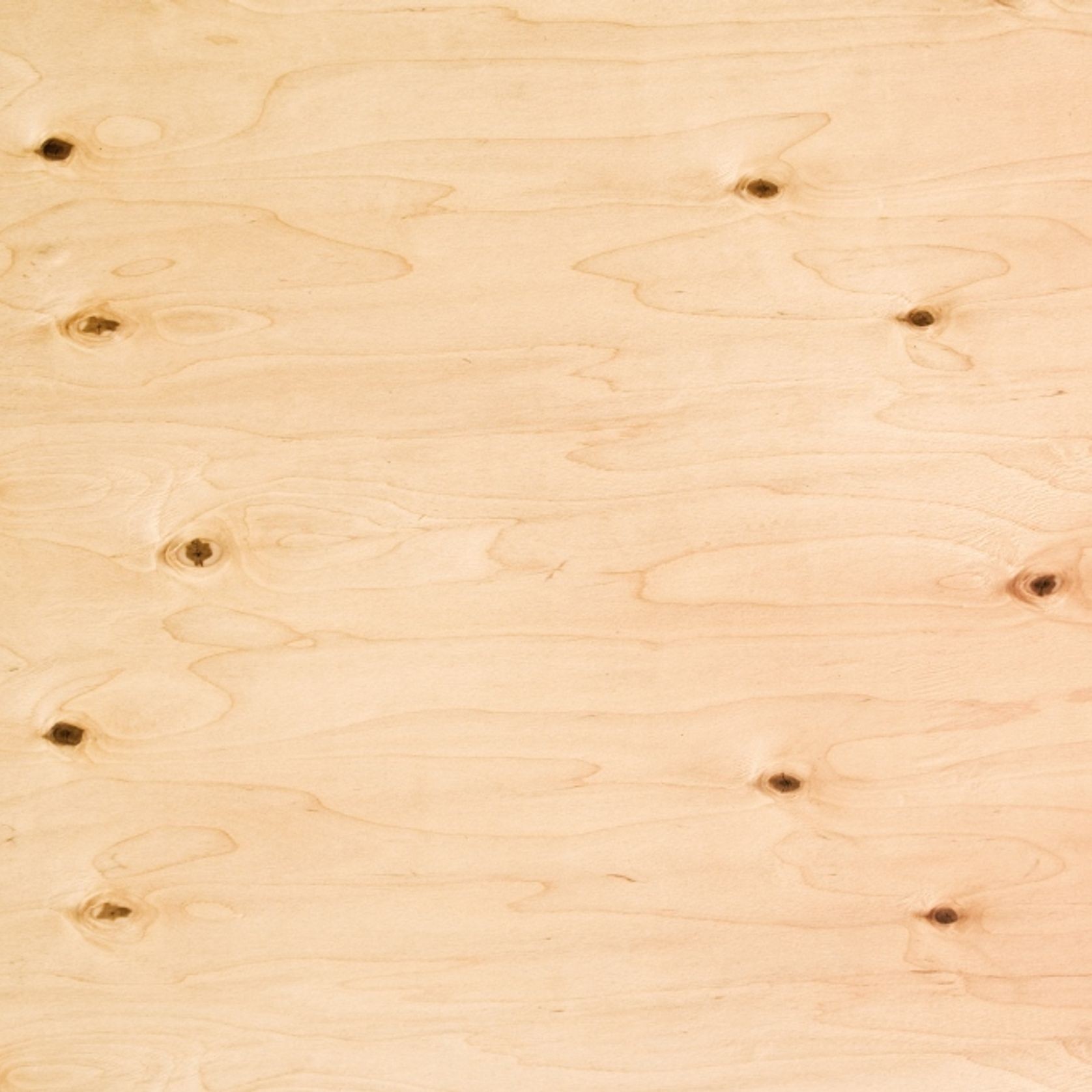 Pine Face Poplar Core Ply gallery detail image