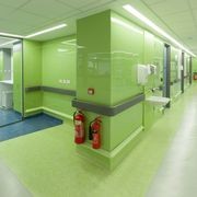 Altro Whiterock Chameleon™ Gloss Wall Lining gallery detail image