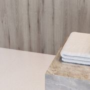 Altro Whiterock™ Wall Designs Decorative Hygienic Walling gallery detail image