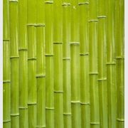 Bamboo Panel Realistic Wall Panels gallery detail image