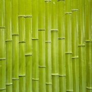 Bamboo Panel Realistic Wall Panels gallery detail image