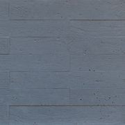 Industrial Pitted Concrete Raw 1800/600mm Wall Panel gallery detail image