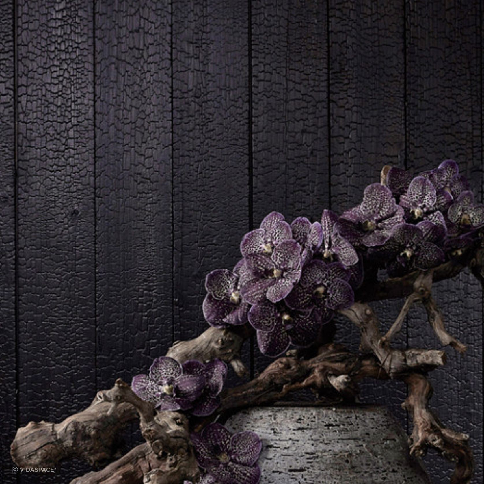 VidaSpace Bespoke Timber Walls gallery detail image