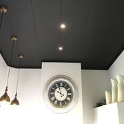 Triboard TGV | Wall & Ceiling Lining gallery detail image