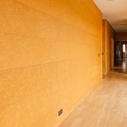 Triboard TGV | Wall & Ceiling Lining gallery detail image