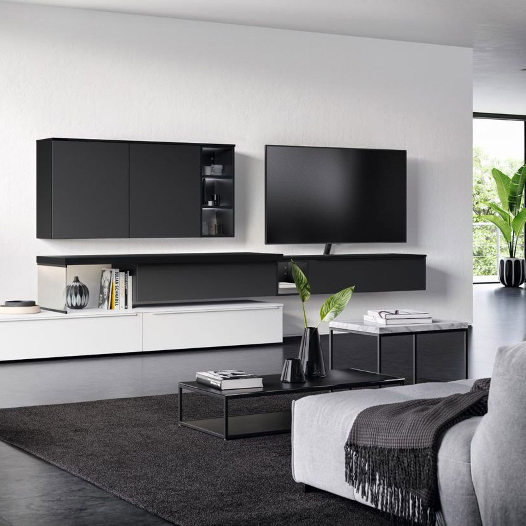 Living Room Shelving Systems gallery detail image