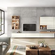 Living Room Shelving Systems gallery detail image
