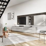 Living Room Shelving Systems gallery detail image