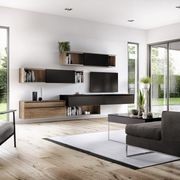 Living Room Shelving Systems gallery detail image