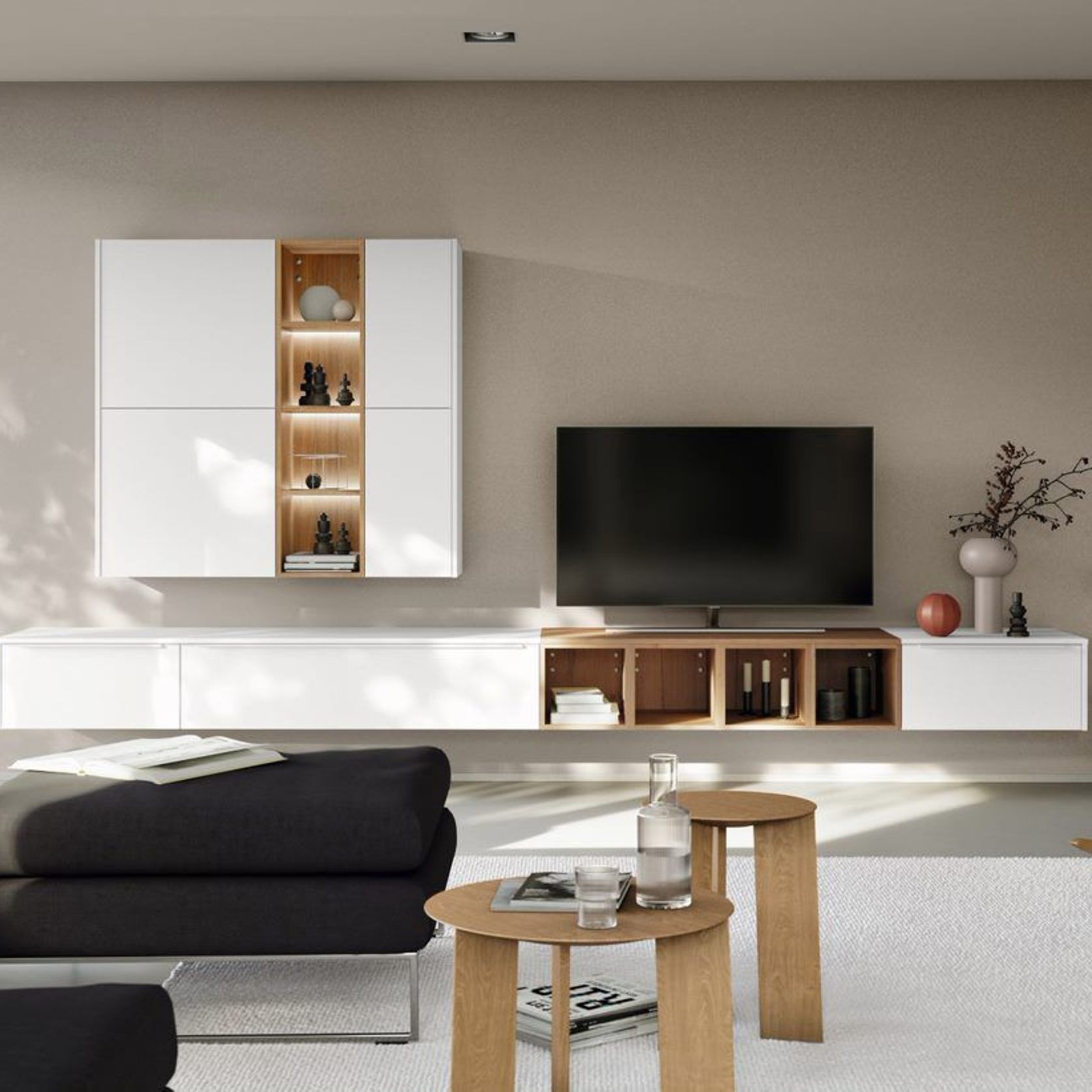 Living Room Shelving Systems gallery detail image