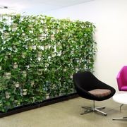 McGreals Indoor Plant Walls gallery detail image