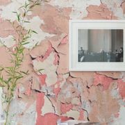 Ella Doran Wallpaper gallery detail image