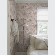 Newbie II | Wallpaper Collection gallery detail image