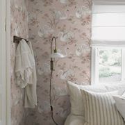 Newbie II | Wallpaper Collection gallery detail image