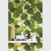 Ella Doran Wallpaper gallery detail image