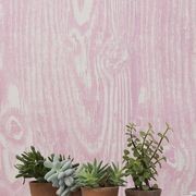 Ella Doran Wallpaper gallery detail image