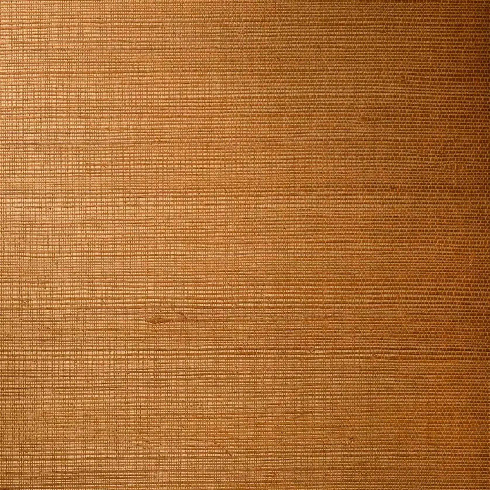 Line by Arte gallery detail image