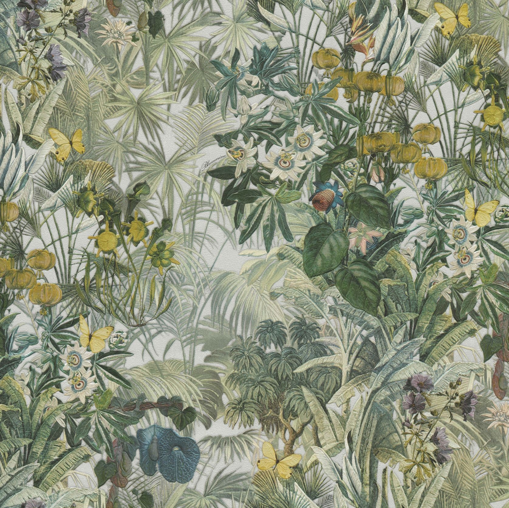 Blumarine Wallpaper gallery detail image