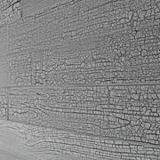 Eagle Republic Peel & Stick Wood Wall Panel Textured gallery detail image