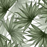 Olive Fan Palm Wallpaper gallery detail image