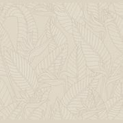 Strelitzia by Arte gallery detail image