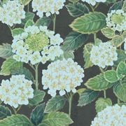 Hydrangea Garden Wallpaper gallery detail image