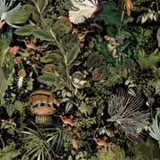 Menagerie Of Extinct Animals by Moooi x Arte gallery detail image