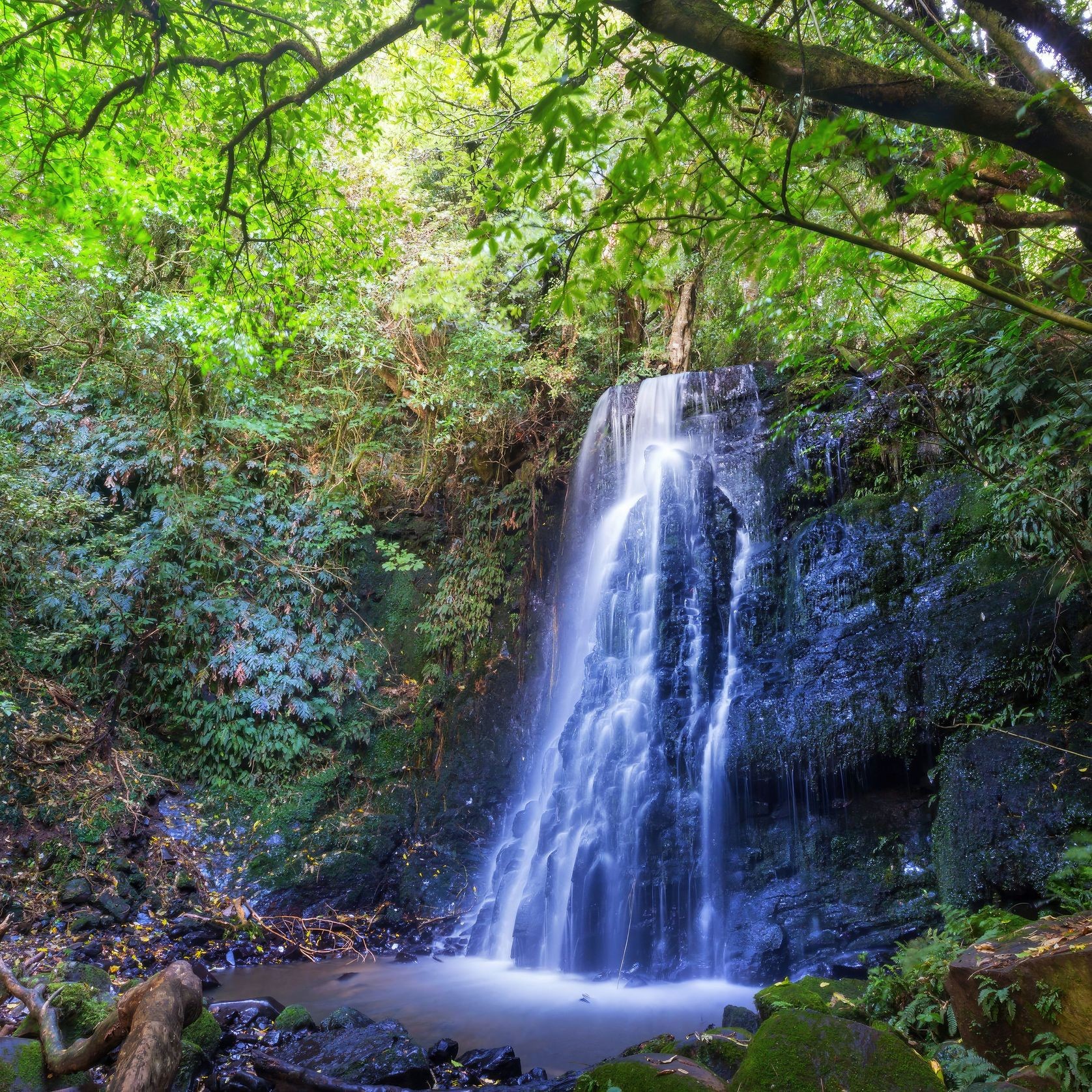 Aotearoa Waterfall 3 gallery detail image