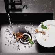Model 66 | Food Waste Disposer gallery detail image