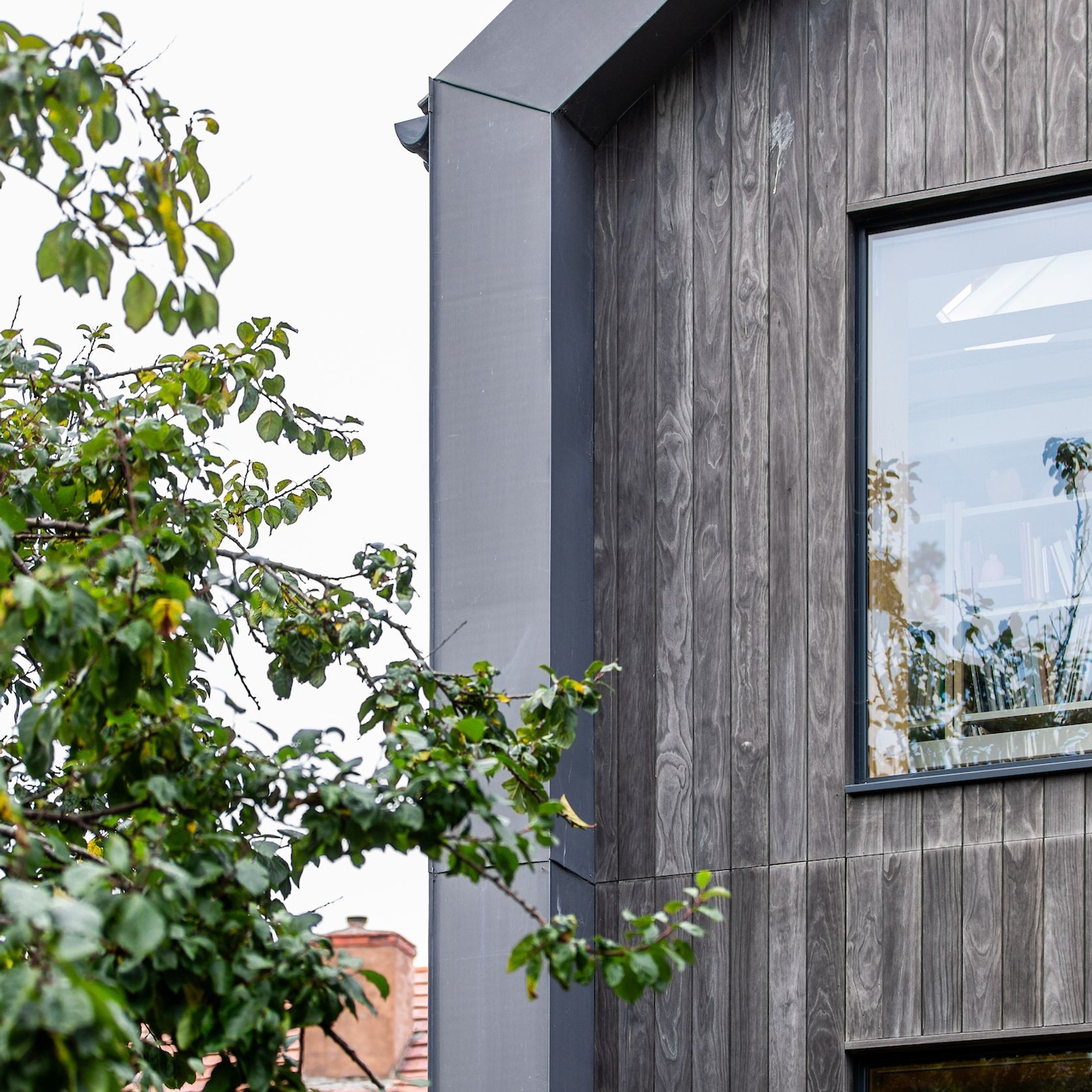Accoya Color Grey gallery detail image