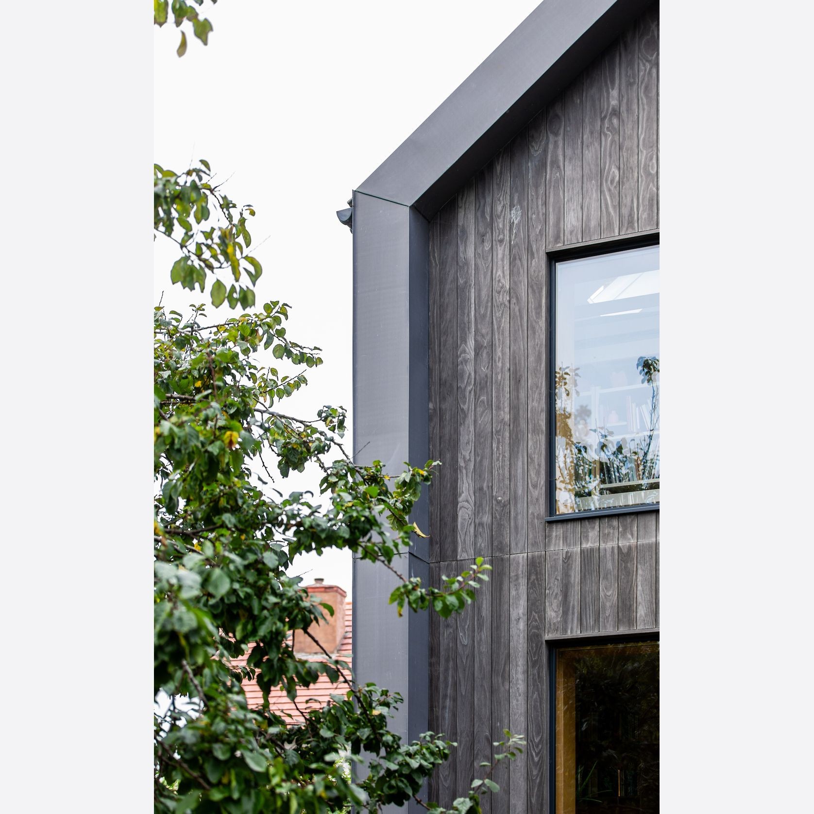 Accoya Color Grey gallery detail image