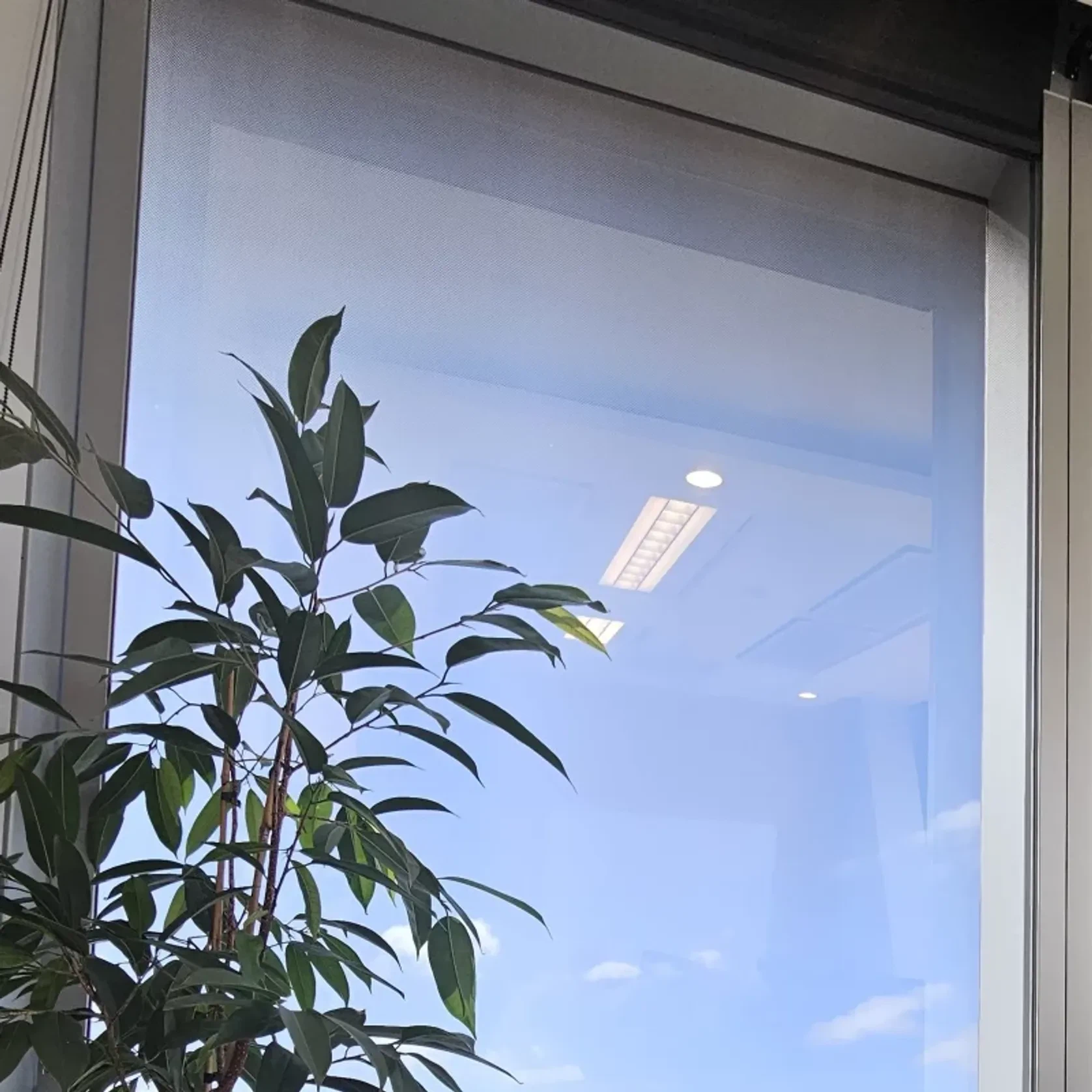 Lahood Educational Window Tinting & Frosting gallery detail image