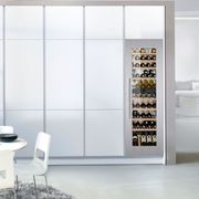 EWTdf 3553 Vinidor | Dual Zone Built-in Wine Cabinet gallery detail image