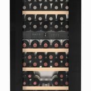 EWTgb 3583 Vinidor | Dual Zone Built-in Wine Cabinet gallery detail image