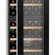EWTgb 3583 Vinidor | Dual Zone Built-in Wine Cabinet gallery detail image
