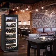 WKgb 4113 Barrique | Single Zone Freestanding  Wine Cellar gallery detail image