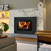 Xander Allure Insert Fireplace gallery detail image