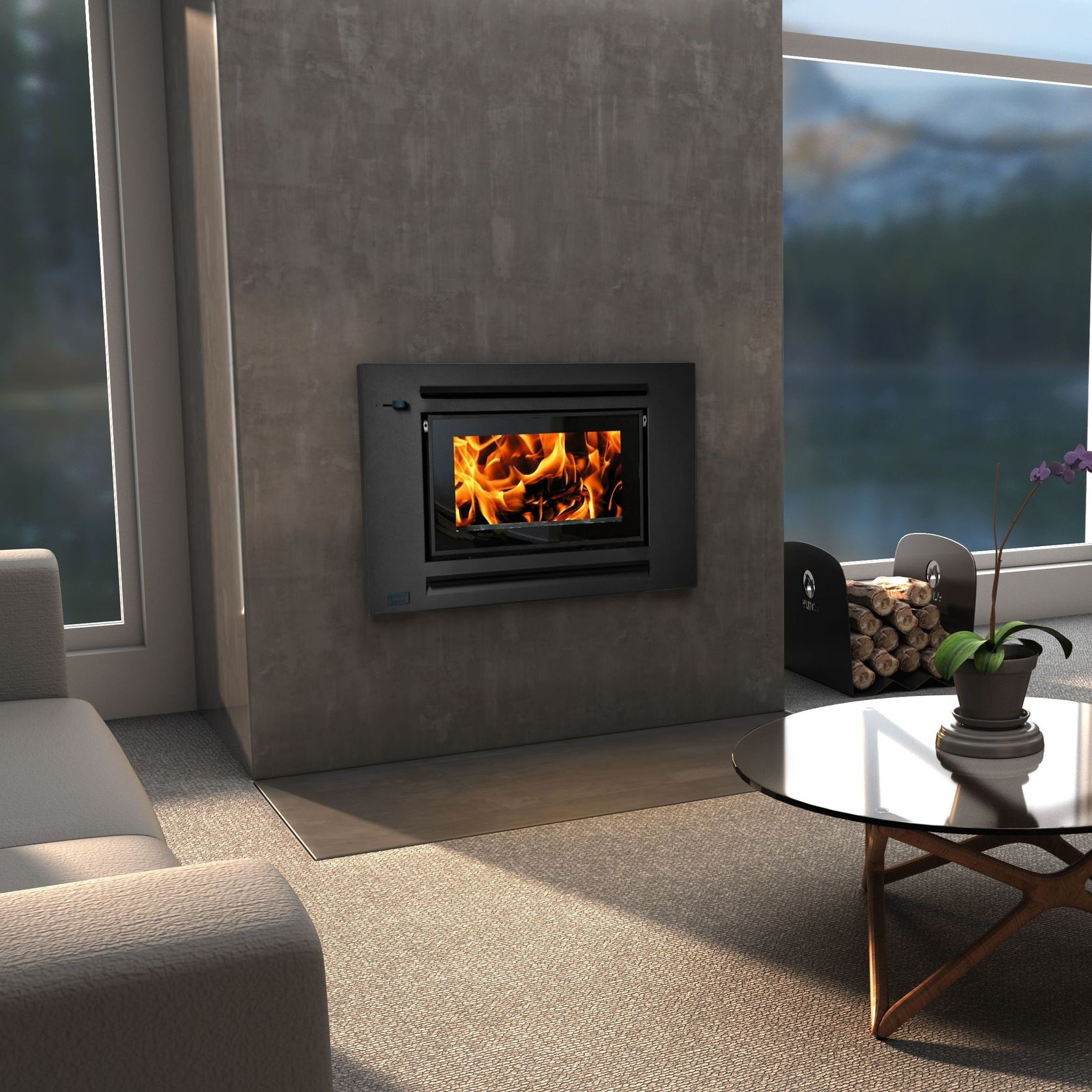 Xander Allure Insert Fireplace gallery detail image