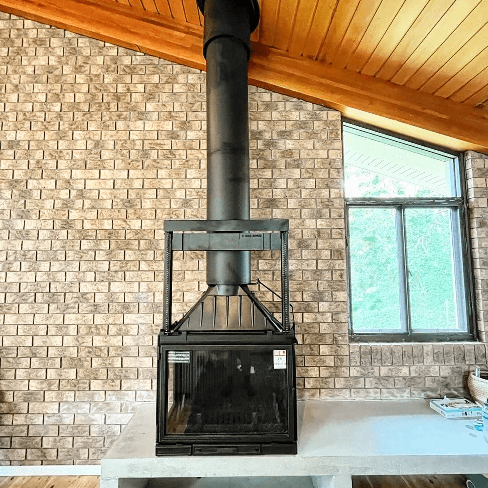 Seguin Multivision 8000 3V Cast Iron Cheminee Fireplace gallery detail image