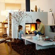 Stuv 21 - Double Sided Built-in Fireplace gallery detail image