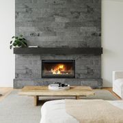 Escea TC950 Inbuilt Wood Fireplace gallery detail image