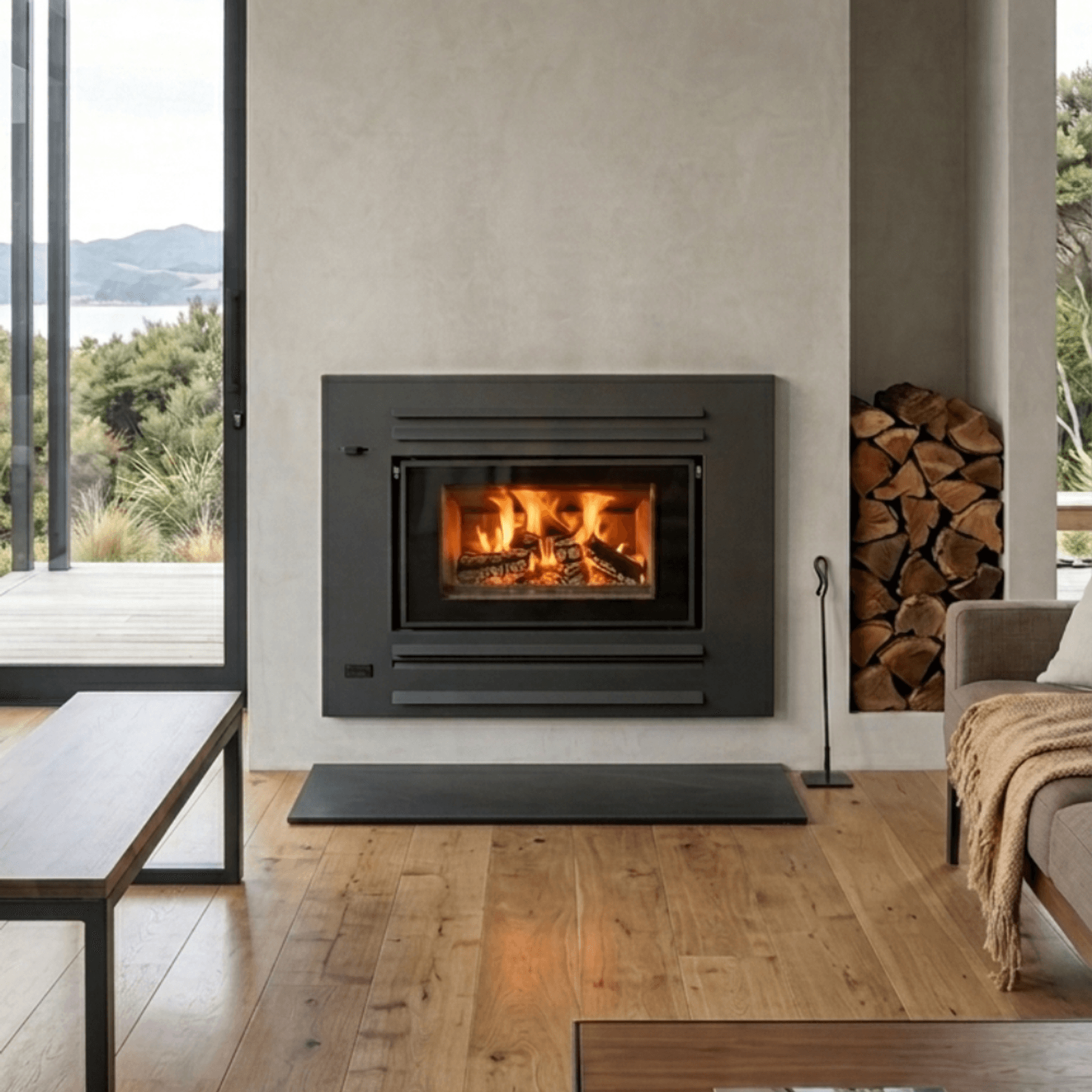 Xander Allure Insert Fireplace gallery detail image