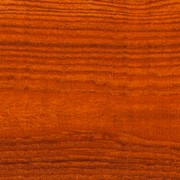 Elm Dryden WoodOil gallery detail image