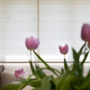 Roman Blinds gallery detail image