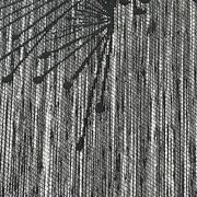 Elite Blackout Roman Blinds gallery detail image