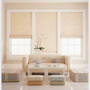Essential Blackout Roman Skylight Blinds gallery detail image