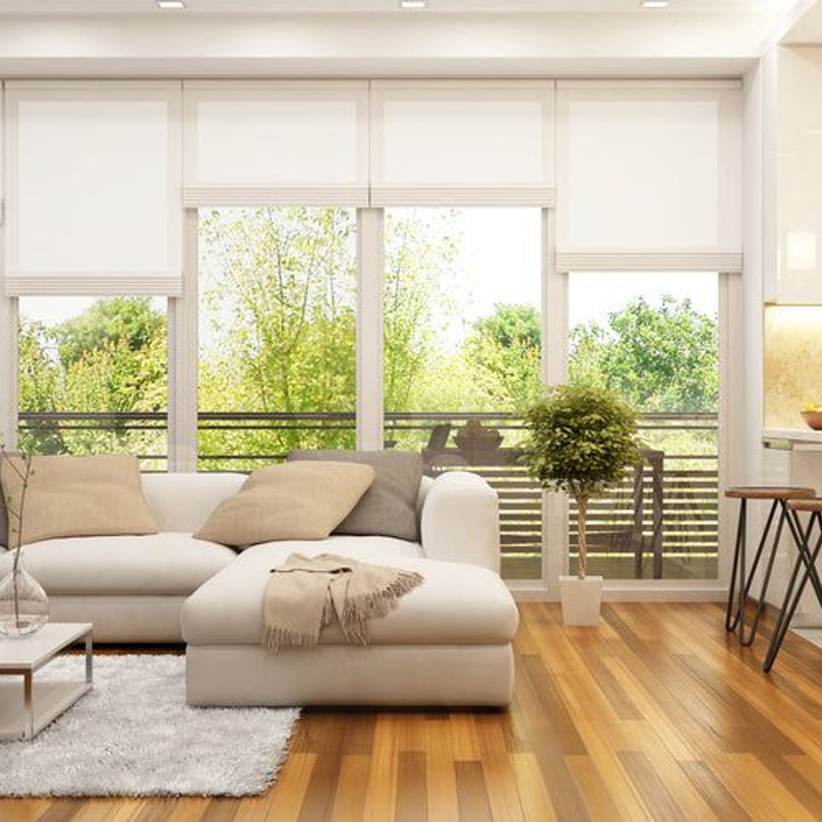 Ultimate Light Filter Roman Blinds gallery detail image