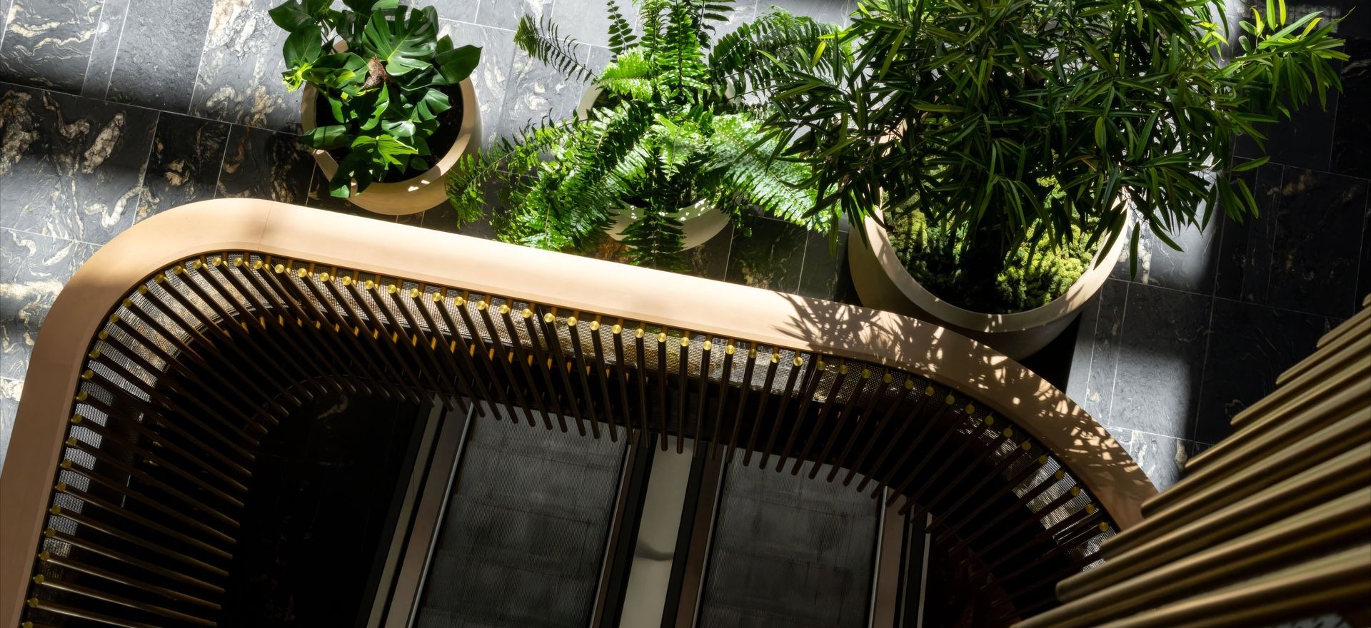 Plants pay:                                                                                                      The commercial case for greening your space